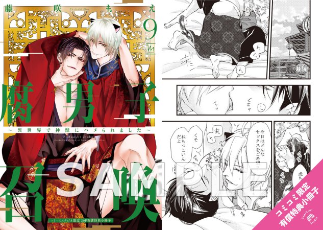 腐男子召喚～異世界で神獣にハメられました～（9）ドラマCD付き特装版【有償特典・小冊子】