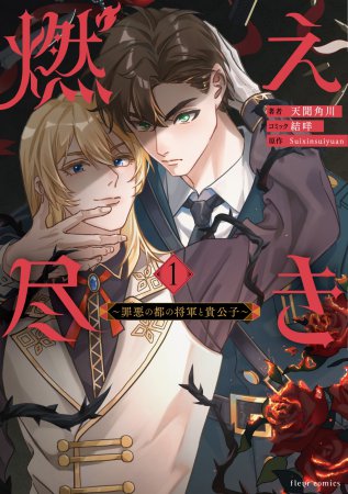 燃え尽き（1）～罪悪の都の将軍と貴公子～