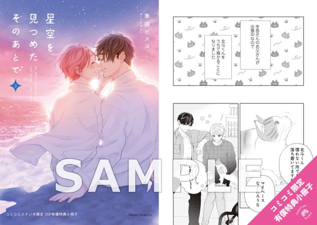 星空を見つめたそのあとで（3）【有償特典・小冊子】
