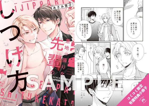 意地っ張りな先輩のしつけ方【有償特典・小冊子】