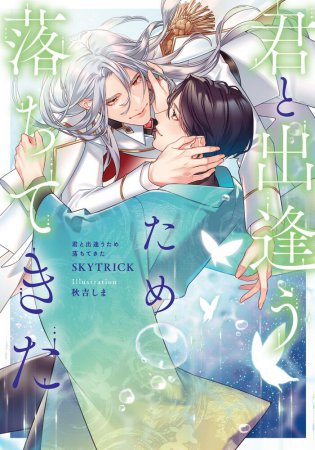 君と出逢うため落ちてきた（単品）