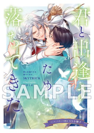 君と出逢うため落ちてきた（単品）