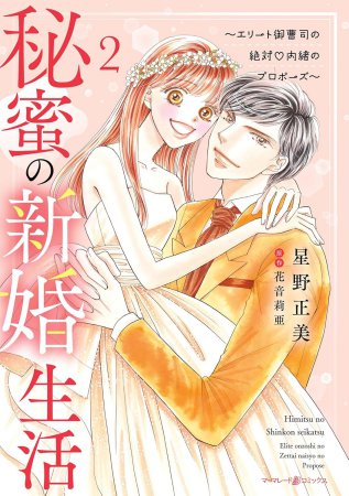 秘蜜の新婚生活～エリート御曹司の絶対内緒のプロポーズ～（2）