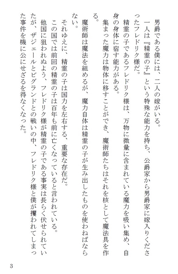 【小説】貧乏男爵、国民人気上位二人(男)を嫁にする。商業番外編