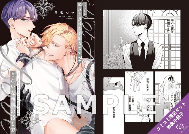【コミコミスペシャルセット】ドラマCD 憐れなβは恋を知らない２（初回限定盤）