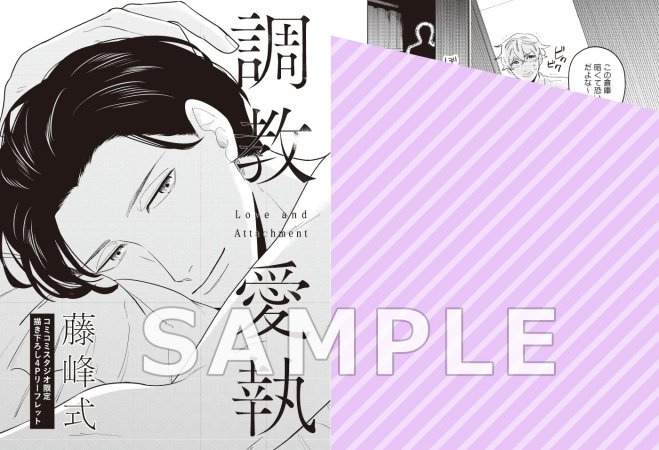 調教愛執（単品）