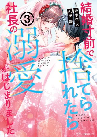 結婚寸前で捨てられたら社長の溺愛がはじまりました（3）