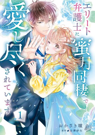 エリート弁護士に蜜月同棲で愛し尽くされています（1）