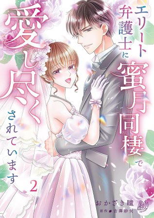 エリート弁護士に蜜月同棲で愛し尽くされています（2）