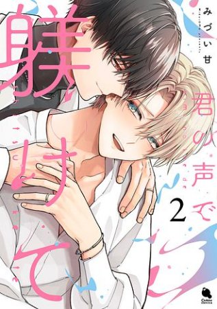 君の声で躾けて（2）（単品）