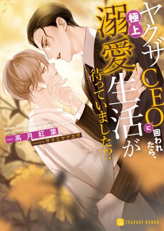 ヤクザＣＥＯに囲われたら、極上溺愛生活が待っていました！？（単品）