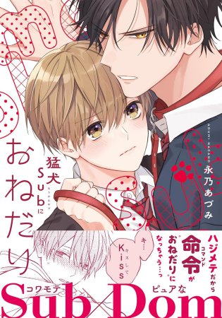 書影