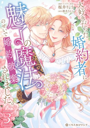 大好きだった婚約者に魅了の魔法のせいで婚約破棄されました。（3）