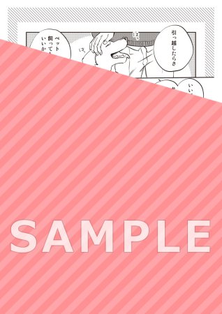 【2冊セット商品】『おとなの恋は不器用なので（上）＋（下）』
