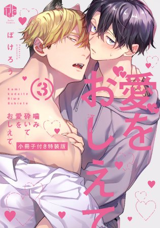 噛み砕いて愛をおしえて（3）小冊子付き特装版【有償特典・アクリルコースター】