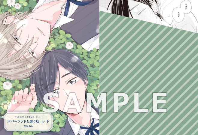 【2冊セット商品】『ネバーランドと渡り鳥（上）＋（下）』【2冊セット有償特典・小冊子】
