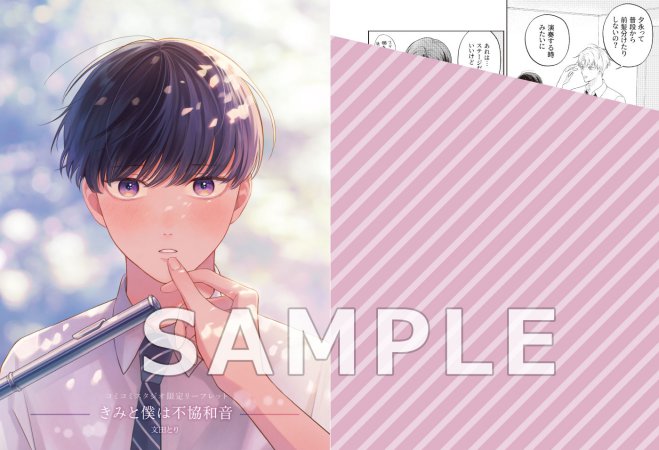 きみと僕は不協和音（単品）