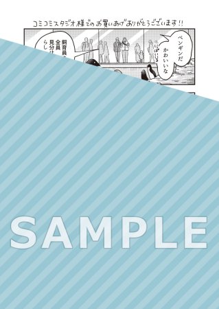 ペーパー