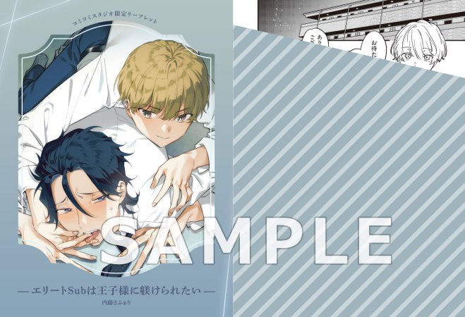 エリートSubは王子様に躾けられたい【有償特典・おとなの公式同人誌】