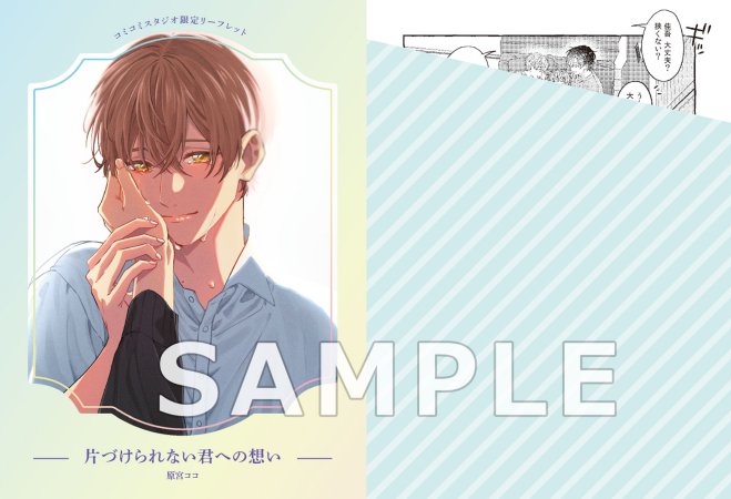 片づけられない君への想い（単品）