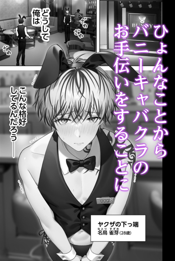 ヤクザの坊ちゃん、付き人のバニー姿に溺愛＆嫉妬が止まらない！【特典付】