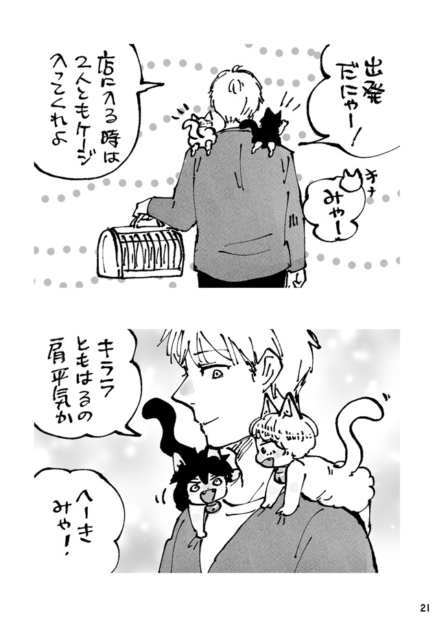 キラキラにゃんこ生活３