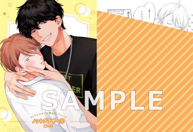 ノットブラザー（1）（単品）