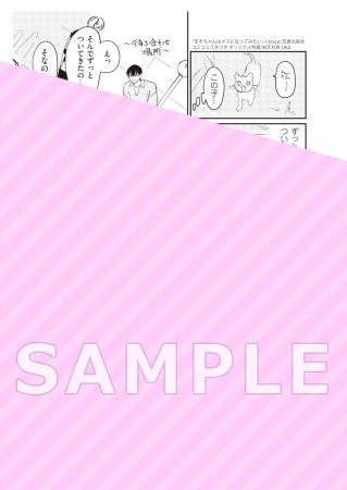 まきちゃんはメスになってみたい（単品）