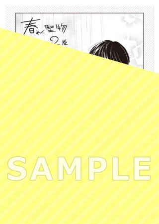 春めく堅物（2）