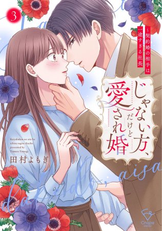 じゃない方、だけど愛され婚～契約婚の相手は一途すぎる社長（3）