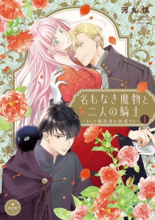 名もなき魔物と二人の騎士～そして婚約者は困惑する～（1）