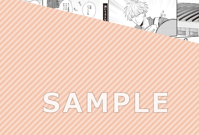 誰にも言えない放課後（単品）
