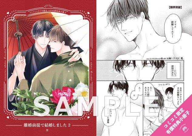 離婚前提で結婚しました（2）【有償特典・小冊子】