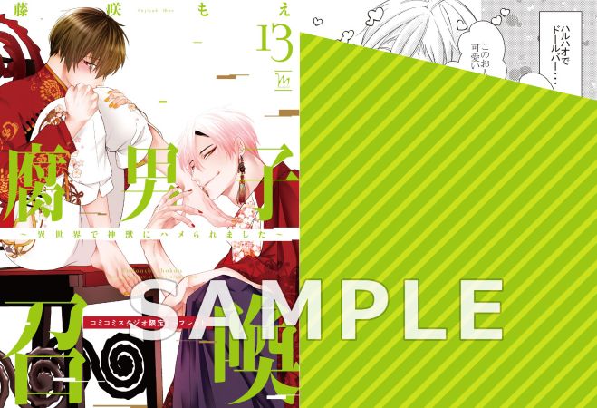 腐男子召喚～異世界で神獣にハメられました～（13）通常版（単品）
