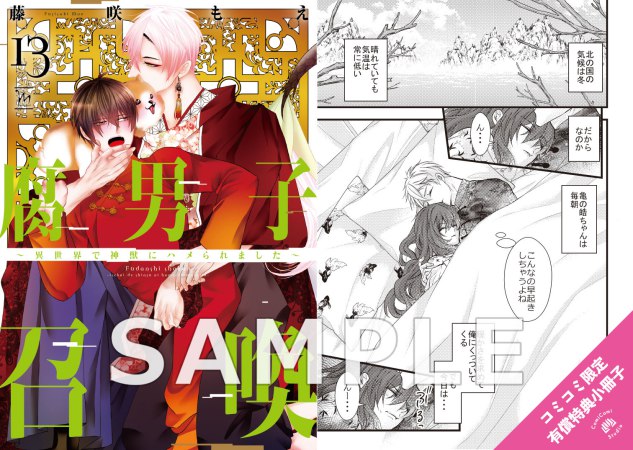 腐男子召喚～異世界で神獣にハメられました～（13）通常版【有償特典・小冊子】