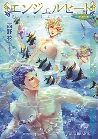 書影