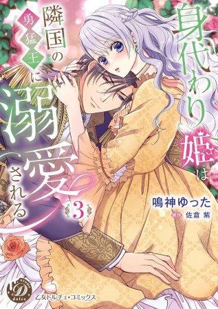 身代わり姫は隣国の勇猛王に溺愛される（3）
