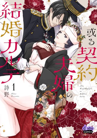 或る契約夫婦の結婚カルテ（1）