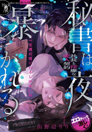 秘書は夜、暴かれる　社長と淫靡な愛人契約