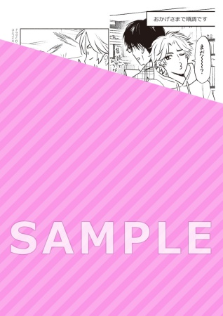ドラマCD 抱いて欲しけりゃ啼いてみろ