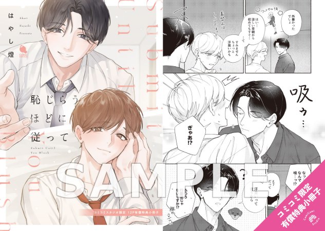 恥じらうほどに従って【有償特典・小冊子】