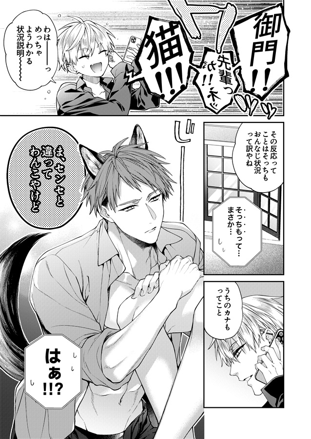 しとあめわんにゃん-全世界のSubに突然ケモ耳が生える異常現象パラレル本