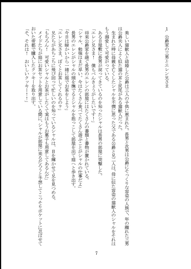 【小説】自由気ままな猫獣人なので婚活とかしてないんですけど初対面の王宮魔法騎士団長と王命で政略結婚させれるようです