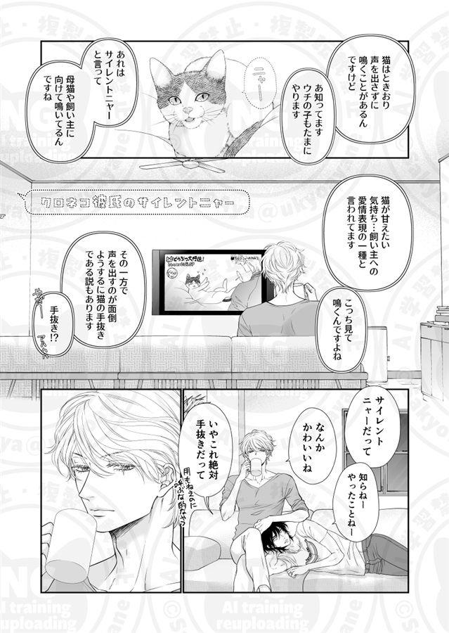 こねこのほん
